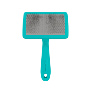 RASQ. CURVA G - PROPETZ