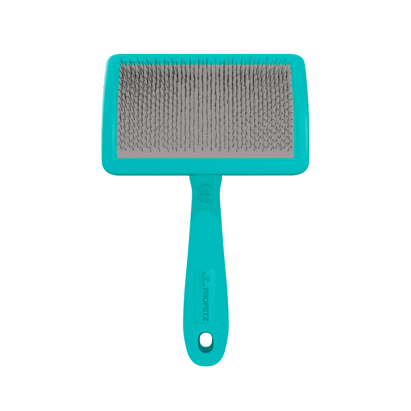 RASQ. CURVA G - PROPETZ