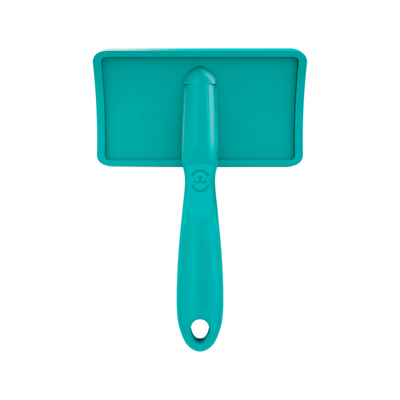 RASQ. CURVA G - PROPETZ - Imagem 4