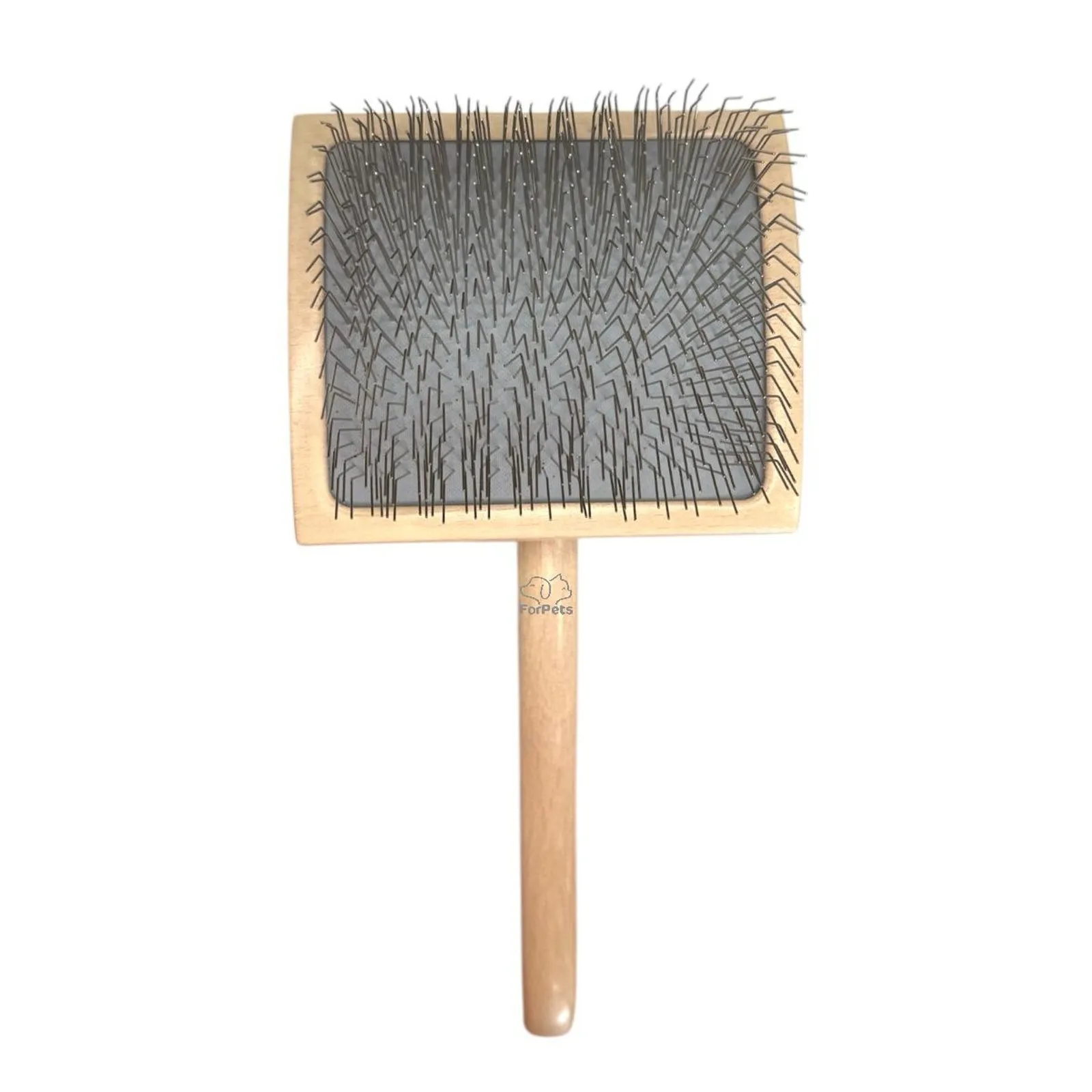 RASQ. EXCLUSIVE BAMBOO G - FORPETS