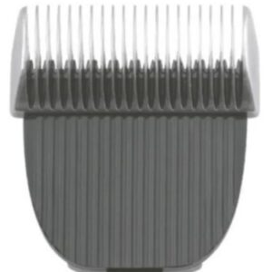 LAMINA MO3 - PROPETZ