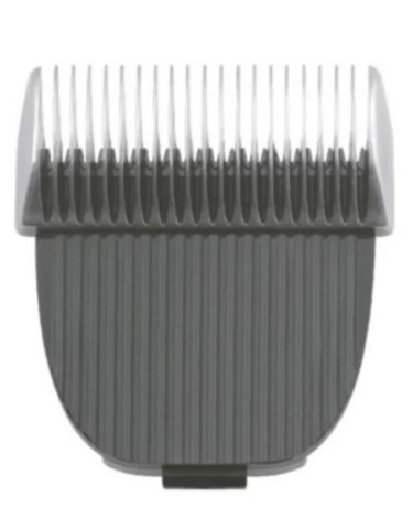 LAMINA MO3 - PROPETZ